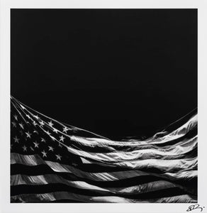 Untitled (Falling Flag) - Robert Longo